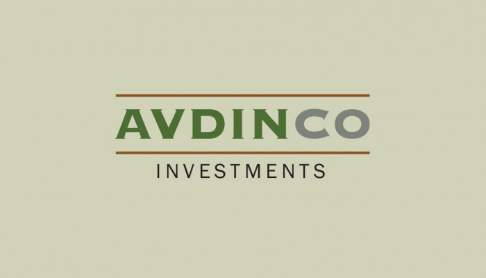 Avdinco Investments Logo and Business Card
